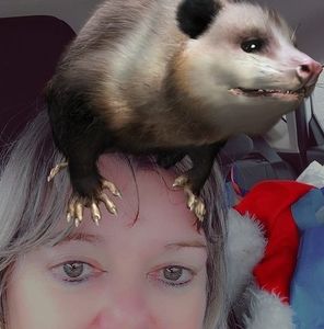 Meet your Posher, Geraldine